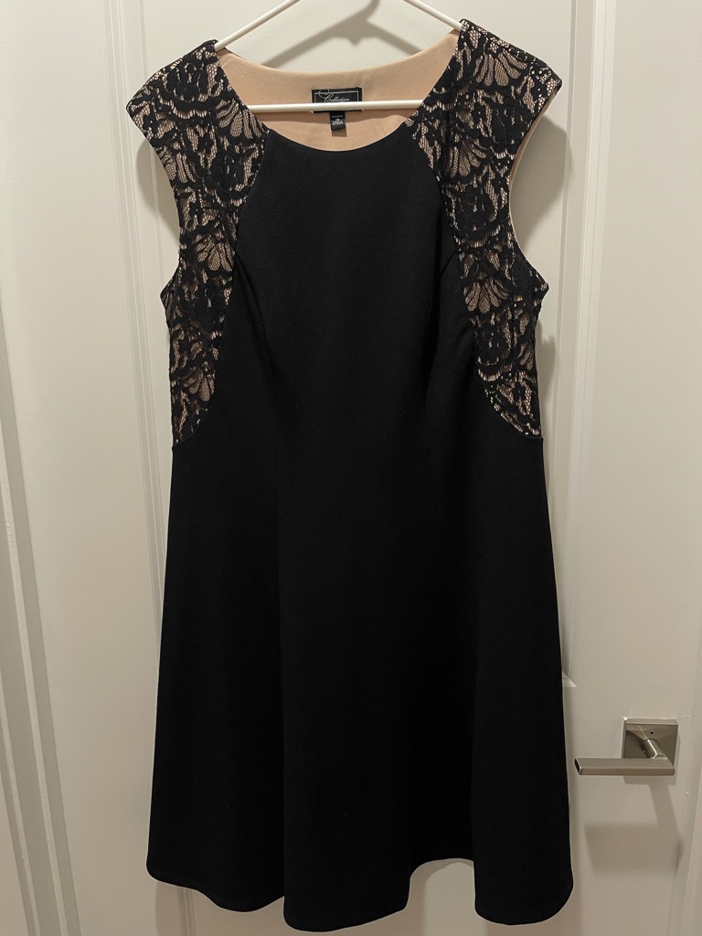 Dressbarn Black Dress With Nude Lace Insets